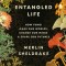 Entangled Life
