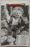 Calendar 1966 cu arici, format carte postala