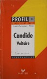 CANDIDE: RESUME, PERSONNAGES, THEMES-VOLTAIRE-252922