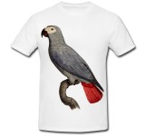 Cumpara ieftin Tricou &quot; Papagalul gri african &quot;
