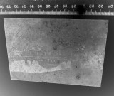 FOTOGRAFIE VECHE PE METAL/ MATRITA CARTE POSTALA ?