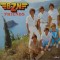 Vinil LP BZN &ndash; Friends (VG)