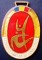 icon 6
