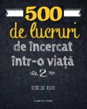 500 de lucruri de incercat intr-o viata. Volumul 2 | Elise de Rijck