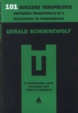 101 succese terapeutice. Depasirea transferului si a rezistentei in psihoterapie/Gerald Schoenewolf