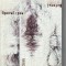 PASCAL ILIE VIRGIL - APOCALIPSA. BRANCUSI. BUFONUL