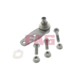 FAG Articulatie sarcina/ghidare