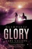 Glimpses of Glory: From the Garden of Eden to Jesus&#039; Glorious Return--A Cosmic Collision of Biblical Truth, Exploding to Life Upon the Ta