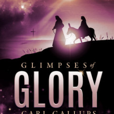 Glimpses of Glory: From the Garden of Eden to Jesus' Glorious Return--A Cosmic Collision of Biblical Truth, Exploding to Life Upon the Ta