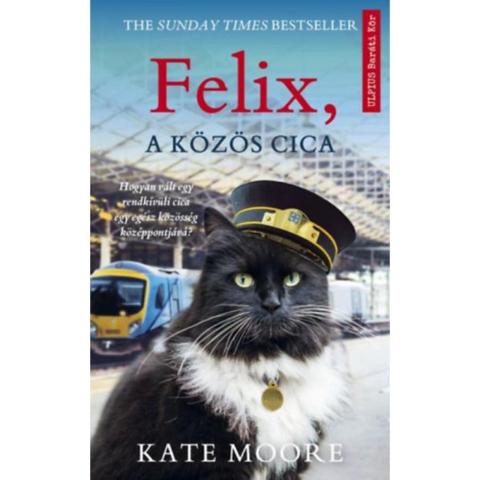 Felix, a k&ouml;z&ouml;s cica - Kate Moore
