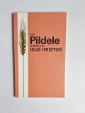 Din Pildele Domnului Isus Hristos, Ed. GBV, 1989
