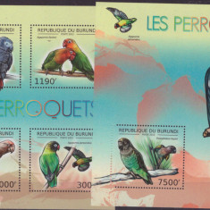 179-BURUNDI-2012-Papagali-Coala mica cu 4 timbre si colita nestampilate MNH