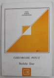 STELELE FIXE de GHEORGHE PITUT , versuri , 1995