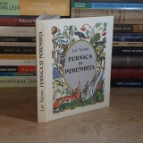 LEV TOLSTOI - FURNICA SI PORUMBITA , ILUSTRATII MIHAIL ROMADIN , 1987 , TIPARIT IN U.R.S.S. *