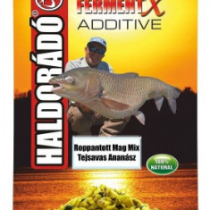 Haldorado - FermentX Additive - Amestec de seminte crocante fermentate - Ananas 350g