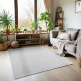 Cumpara ieftin Covor Sky V1 Argintiu 140 x 200cm