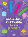 Activitati de vacanta. Forme si numere - Litera