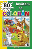 Invatam sa coloram 80 imagini