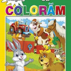 Invatam sa coloram 80 imagini