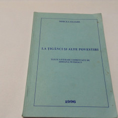 MIRCEA ELIADE LA TIGANCI TEXTE LITERARE COMENTATE ADRIANA PETRESCU RF16/3