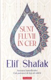 Elif Shafak - Sunt fluvii in cer