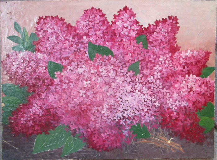 Liliac de Mai - semnat ilizibil