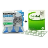 Antiparazitar intern extern pisici Frontline spot on 1 pip + Cestal cat 1 tb