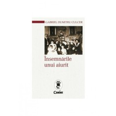 Insemnarile unui aiurit, Gabriel Dumitru Culcer
