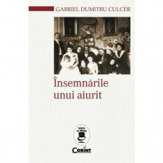 Insemnarile unui aiurit, Gabriel Dumitru Culcer