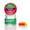 PORUMB ARTIFICIAL SENZOR SCOICA 8buc.