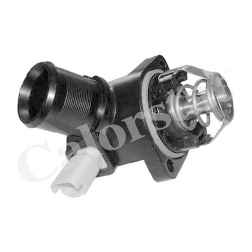 Calorstat by Vernet termostat, lichid racire