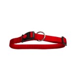 Zgarda Nylon Caini Rosie Click 25 mm x 45-70 cm, N MOL