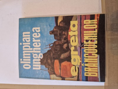 Egreta Brancovenilor vintage foto