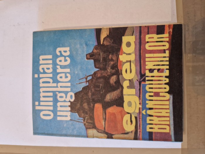 Egreta Brancovenilor vintage