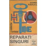Reparati singuri - Viorel Raducu