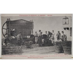 SAMPANIE POMMERY si GRENO , REIMS , RECOLTA LA CHAMPAGNE , RECEPTIA STRUGURILOR LA PRESA , INCEPUTUL SEC. XX