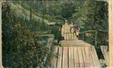 CP1812N Piatra Neamț - Apele Minerale, carte poștală circulată Sibiu, 1930