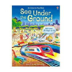 See Inside Under the Ground - Hardcover - Alex Frith - Usborne Publishing