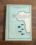 Principalele specii de pești și cefalopode din zona Oceanului Atlantic de Sud - Est
