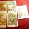 Set 5 Maxime Flori 1983 URSS