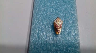 Insigna AC Fiorentina foto