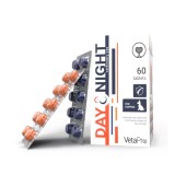 VETAPRO DAYNIGHT COMPLEX VITAMINE 60TAB CUT CATELUSI