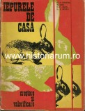 C9646N Iepurele de casă, creștere și &icirc;ntreținere de Al Georgeoni, Gh Iacob, Fr Kappel și Al Dascălu, 1974