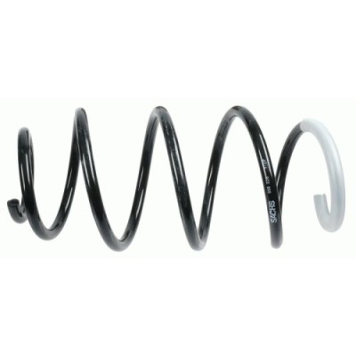 Sachs Arc spiral foto