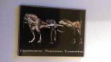 XG Magnet frigider - Dinozauri