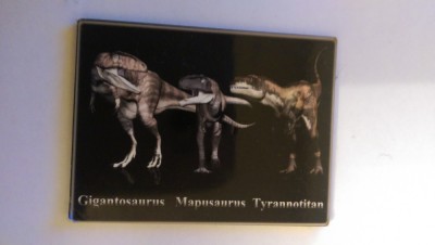 XG Magnet frigider - Dinozauri foto