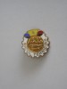 QW9 J 84 - Insigna - tematica pionieri - Micul tehnician, Romania de la 1950