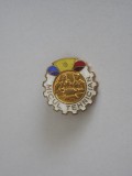 QW9 J 84 - Insigna - tematica pionieri - Micul tehnician, Romania de la 1950