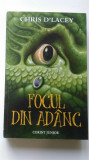 Focul din ad&acirc;nc - Chris D&#039;Lacey (5+1)5
