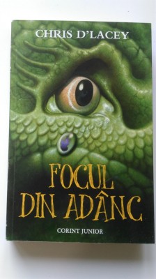 Focul din ad&amp;acirc;nc - Chris D&amp;#039;Lacey (5+1)5 foto